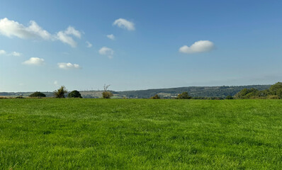 Fototapeta premium A vast, lush green field stretches under a clear blue sky dotted with clouds. In the distance, rolling hills and trees line the horizon, creating a serene and expansive landscape in, Wilsden, UK