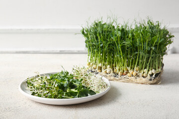 Plate with different micro green on light table