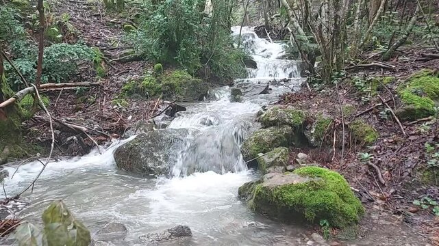 Cascadas naturales tras lluvias en Estacion de Canfranc - Pirineos 2024 - 03