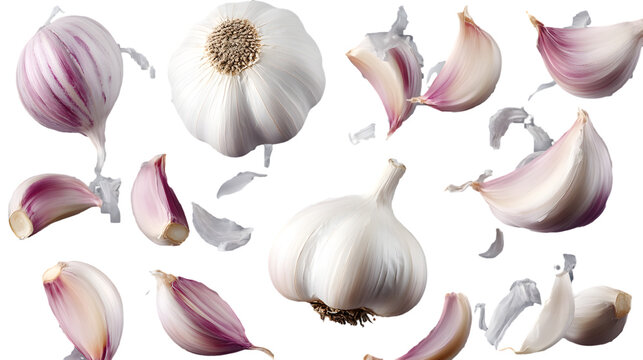 Fresh garlic cloves and bulbs floating in the air on a white background with a splash effect