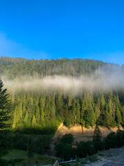 Misty morning over the forested mountains