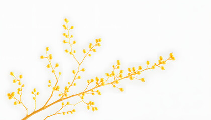3D rendered illustration of golden branches/flora isolated on transparent background, mindfulness theme. isolated with white highlights