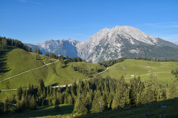 view of Mt. Watzmann and Buechsenalm meadow at Berchtesgaden national park, bavaria, germany