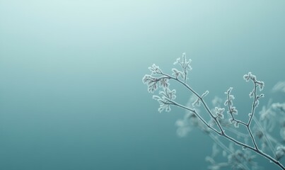 Delicate frost pattern forming on a single glass pane, soft light creating intricate detail, against a pale blue gradient background, minimalist winter beauty,