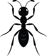 Vector silhouette of ant on white background. 