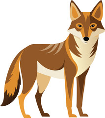 red fox isolated on white