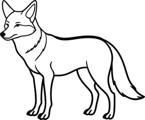 illustration of fox