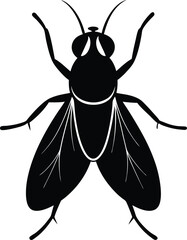 Vector hand drawn illustration of the big fly. Vector engraving illustration of honey bee on white background.