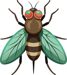 Vector hand drawn illustration of the big fly. 