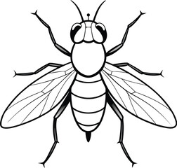 Vector hand drawn illustration of the big fly. 