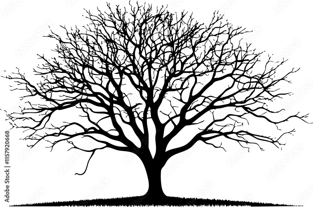 Poster silhouette of a leafless tree with intricate branches on a white background.