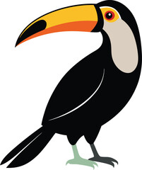 artoon black toucans, isolated cute wild tropical birds, editable vector illustration for kids decoration, print, stickers © Bharotray