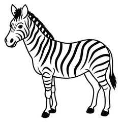zebra vector illustration