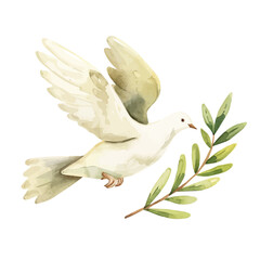 A watercolor vector painting of a dove holding an olive branch, isolated on a white background. Dove vector.