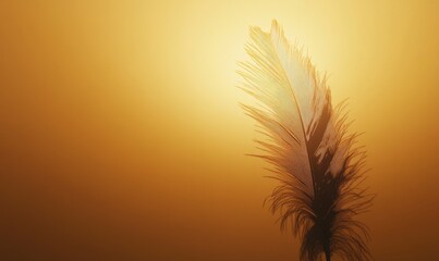 Silhouette of a single feather against a blank backdrop, subtle details in every strand.