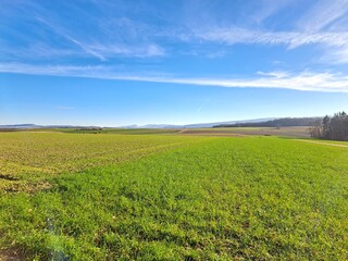 field and blue sky