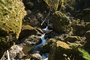 Obraz premium Water flowing over a rocky river bed in a narrow valley surrounded by trees with autumn colors and tall pines on a clear sunny day. 