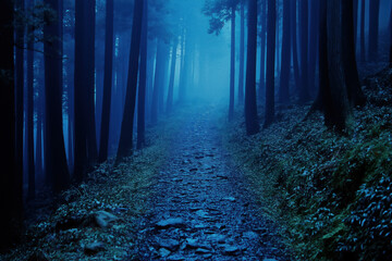 Fototapeta premium Misty forest path at twilight. Mysterious and serene.