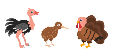 Colorful cartoon representations of diverse birds including an ostrich, kiwi, and turkey