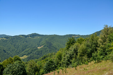 Fototapeta premium Breathtaking view of green forested hills extending into the distance under a clear blue sky. The natural beauty of the landscape evokes feelings of peace and serenity. Carpathian Mountains, Ukraine