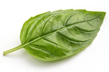 Obraz premium Various delicious foods set, top view plates of fast foods isolated on white background. Assortment of top view food dishes. pizza, pasta, salmon, lasagna, rolls, bbq, ice cream. Italian food set.