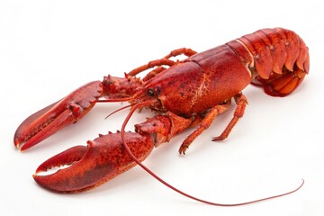 Various delicious foods set, top view plates of fast foods isolated on white background. Assortment of top view food dishes. pizza, pasta, salmon, lasagna, rolls, bbq, ice cream. Italian food set.