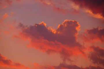 The colors of the sky change most rapidly during twilight hour