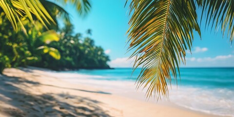 Obraz premium A captivating tropical beach scene featuring crystal-clear waters framed by lush palm trees under blue skies.