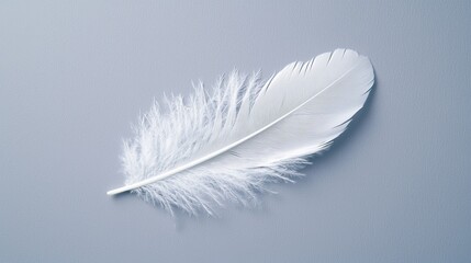 Obraz premium Minimalistic white feather resting lightly on a misty, muted gray backdrop, creating a sense of calm and sophistication