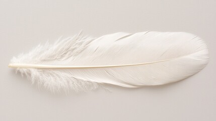 Obraz premium Minimalistic white feather resting lightly on a misty, muted gray backdrop, creating a sense of calm and sophistication