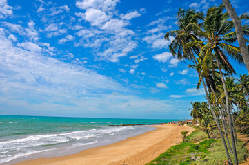 Mermaid Beach or Pratangi Beach, a wild beach with clear waters and a lot of coconut trees. North Litoral. Alagoas, Brazil, Dez 2016