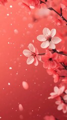 Delicate pink and white blossoms falling against a coral backdrop.