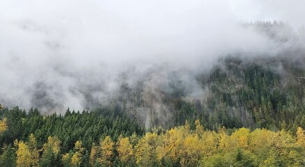 Foggy Mountains BC