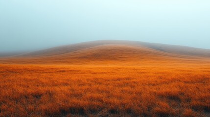 autumn landscape with dry yellowed grass and thick fog