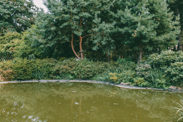 Still pond surrounded by lush green bushes, trees, and natural vegetation reflecting in the water.

