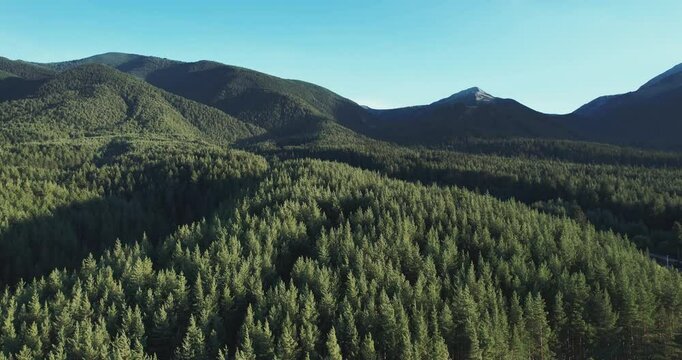 Establishing shot of luxury hotel comples in dense mountain forest in Bansko, Bulgaria, showcases an aerial view of a vibrant green forest with towering mountains in the background