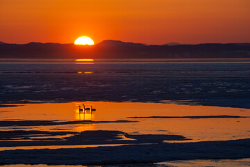 氷が浮かぶ春の湖の夕暮れ　サロマ湖
