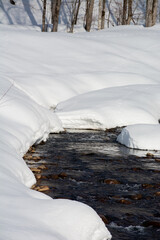 雪解けの小川
