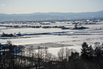 融雪剤が撒かれた水田地帯
