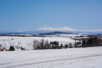 融雪剤が撒かれた雪の畑と山並み　大雪山
