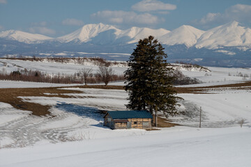 北海道の早春の農村の風景
