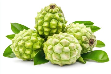 Fototapeta premium Custard or sugar apple Annona on white background