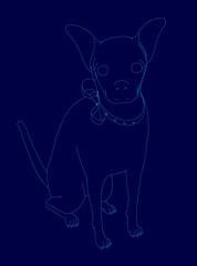 Dog is sitting on a blue background. The dog is wearing a collar and has a bow around its neck