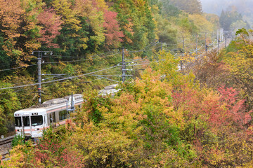早朝の朝もやに包まれた長野県・鳥居峠