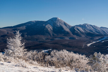 厳冬の霧ケ峰高原から朝日に輝く樹氷と蓼科山