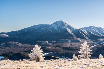 厳冬の霧ケ峰高原から朝日に輝く樹氷と蓼科山