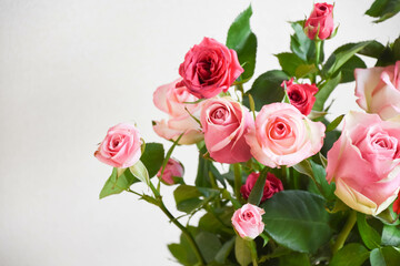 カラフルなバラ