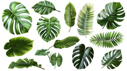 Tropical Leaf Collection - A Set of Diverse Green Foliage