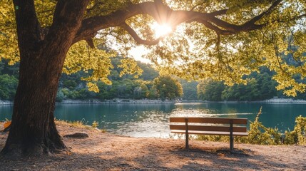 Obraz premium Peaceful scenic view of a wooden bench by a lake on a sunny day