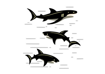 shark illustration isolated